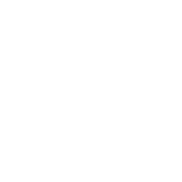 Steinkjer logo